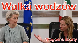 Walka wodzów. Kto umożliwia proces migracji. | Migracja #6 | Pogodne Szorty #77