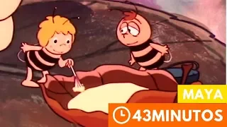 La Abeja Maya 🕘 Compilación 43' (Ep34, Ep35 )