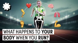 What Happens To Your Body When You Run 5k?