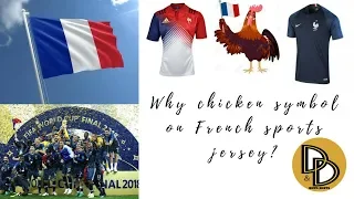 The Brain Diet Talks #1 | Why there's a chicken symbol on French sports jersey?