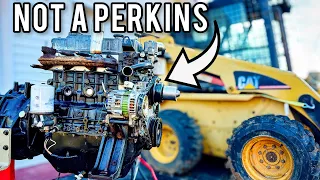 Will this cheap Japanese diesel engine save my cat skid steer?