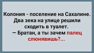 Два Зека в Колонии на Сахалине! Сборник Веселых Анекдотов! Юмор!