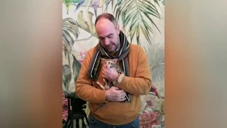 Григорий Манев снимает передачу об ориентальных кошках