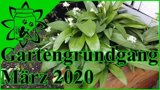 Gartenrundgang März 2020 | Garten im Frühling | Die Gartensaison beginnt |Garteneinkochfee