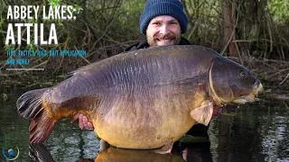 Abbey Lakes Attila | France | Carp Fishing | Tips, Tactics, Rigs