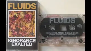 Vital Vinyl Vlog: Fluids-Ignorance Exalted