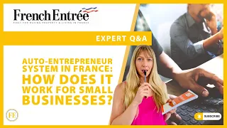 How does the auto-entrepreneur system work for small  businesses in France?