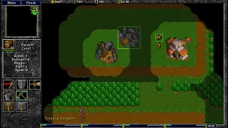 Warcraft 2 Stir Crazy