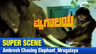 Mrugalaya -- ಮೃಗಾಲಯ | Ambresh chasing Elephant|FEAT. Ambarish, Geetha