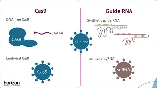 CRISPR-Cas9 format selection guide
