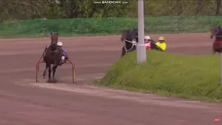 28.04.2024г Рамеский Ипподром Первомайский Приз Жеребцы старшего возраста 1600м