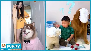 When Lun Tai uses diapers as a mask - Dog Funny Moments 2021 V29 - Dogs funny video