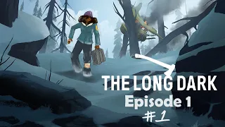 I fell out of the sky! | The Long Dark: Wintermute 1