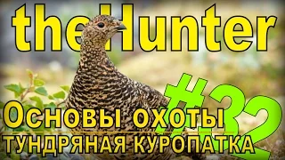 theHunter - Тундряная куропатка [Основы охоты] #32