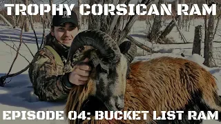 Trophy Corsican Ram Hunt: Bucket List Ram