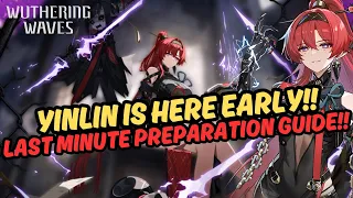 Yinlin Preparation Guide!! Best Echos, Ascension Materials & Should You Summon?! | Wuthering Waves