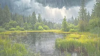 HEAVY Rain on Forest Pond🌱Raindrops on Water💧Heavy Natural Rain Sounds🌼SLEEP FAST😴 SLEEP WELL💤