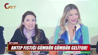 ANTEP FISTIĞI GÜMBÜR GÜMBÜR GELİYOR!