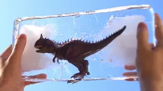 FROZEN DINOSAUR BABY!