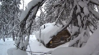 17 дней в тайге в глухозимье. Закрытие пушного сезона. Часть 2