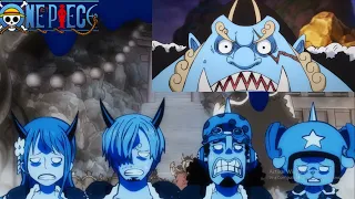 Regañan a Jinbe por dejar ir solo a Luffy y Zoro 🤣