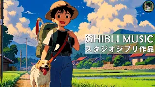 【Best Ghibli Piano Collection】💛 My Neighbor Totoro / Spirited Away / Kikis Delivery Service