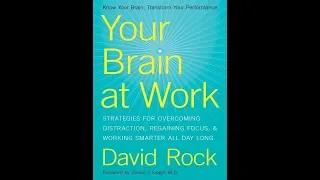 Your Brain At Work Summary