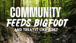 Community Feed BIGFOOT Like Local Pet | BIGFOOT ENCOUNTERS PODCAST Over 1 Hour COZY SCARY STORIES