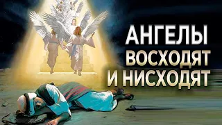 #190 Ангелы восходят и нисходят - Алексей Осокин - Библия 365 (2 сезон)