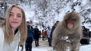 Day 4 Visiting Snow Monkeys Nagano, Japan
