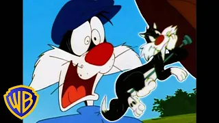 Looney Tunes en Latino | Lo mejor de Silvestre | WB Kids