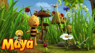 Forbidden Fruit - Maya the Bee - Episode 42