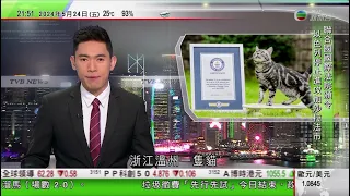 無綫TVB 1000一小時新聞報｜波音稱面臨生產及供應鏈問題 預警第二季要繼續「燒錢」｜溫州「踩板」貓以12.85秒完成十米滑行 創健力士世界紀錄｜越南河內有住宅起火至少14死6傷｜20240524