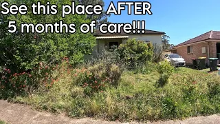 RETURN to THE MOST NEGLECTED YARD EVER! 4 VIDEOS in 1!