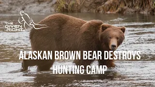 Brown Bear DESTROYS Camp