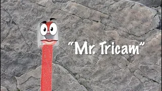 Mr  Tricam