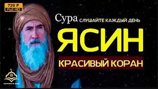 Слушайте Ясин суру  Красивое чтение корана  Спокойствие на всю ночь  Коран лечение для сердца