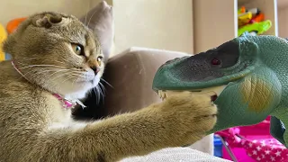 Cats vs Dinosaur