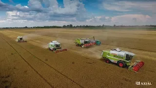 Aratás [2019] CLAAS LEXION 670, MEGA 208, DOMINATOR 108 & 108SL, IFA W50