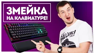 НА НЕЙ МОЖНО ИГРАТЬ БЕЗ КОМПЬЮТЕРА :) CoolerMaster Masterkeys MK750!