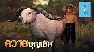 เล่านิทาน 3D | EP.208 ควายบุญเลิศ