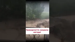 ⛈️ Прикарпаття накрила негода - вода тече з шаленою швидкістю!