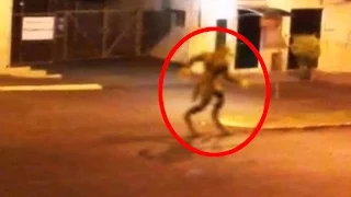5 Mythical Creatures Caught On Camera & Spotted In Real Life!