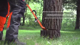 Trabajar con Motosierras: Tala de árboles. El corte básico | Vídeo 14