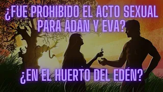 ADÁN Y EVA ¿CUÁL FUE LA PERFECTA VOLUNTAD DE DIOS PARA ELLOS? - parte 5 | El Origen del pecado