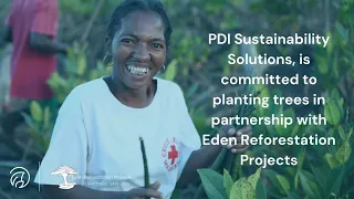 Mozambique Reforestation Project | Eden Reforestation Projects