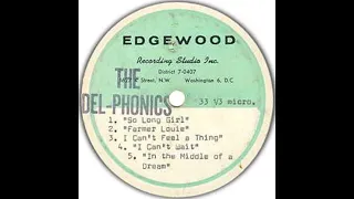 The Del-Phonics - I Can't Feel A Thing (1966) [Garage Rock, Pop Rock]