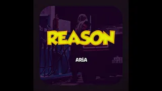 ARiA - Reason [Official Lyrics Visualizer]