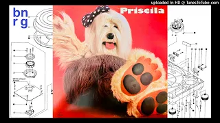 Priscila - Sonhando