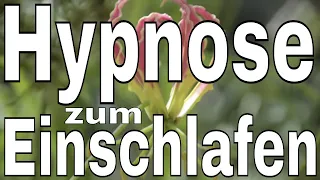 Hypnose zum Einschlafen Durchschlafen Meditation SchlafHypnose Tiefschlaf ►Ende unhörbar◄ 78 Minuten